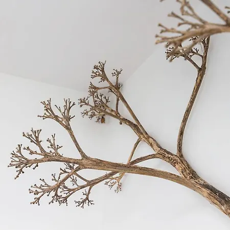 Apartament Sunny Stone